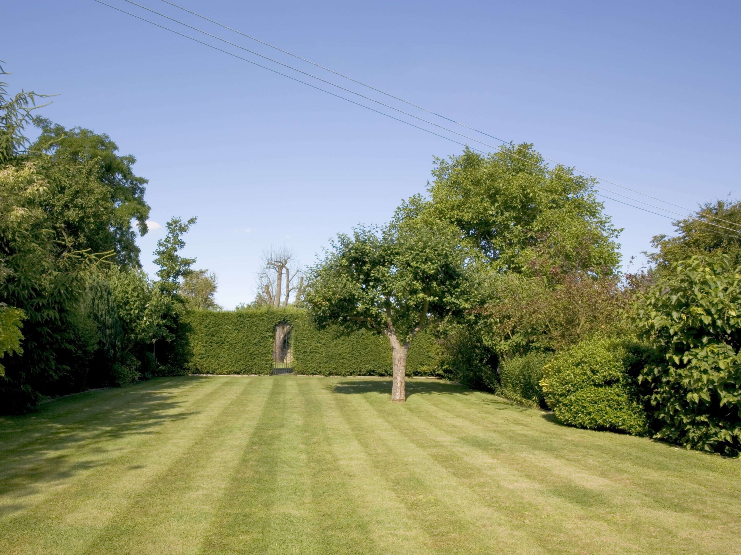 Lawn Mowing/Hedge Trimming Chessington KT9