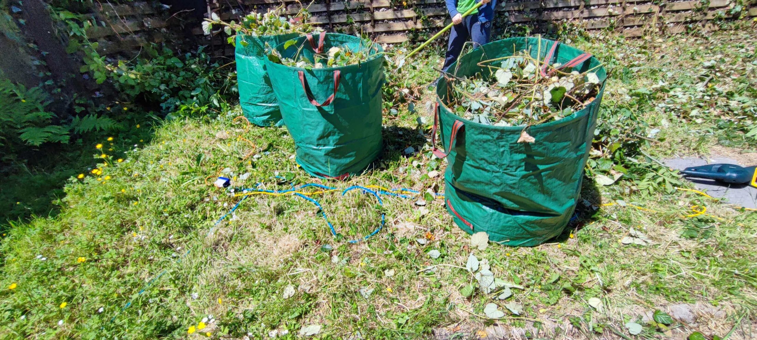 Green Waste Removals Chessington KT9