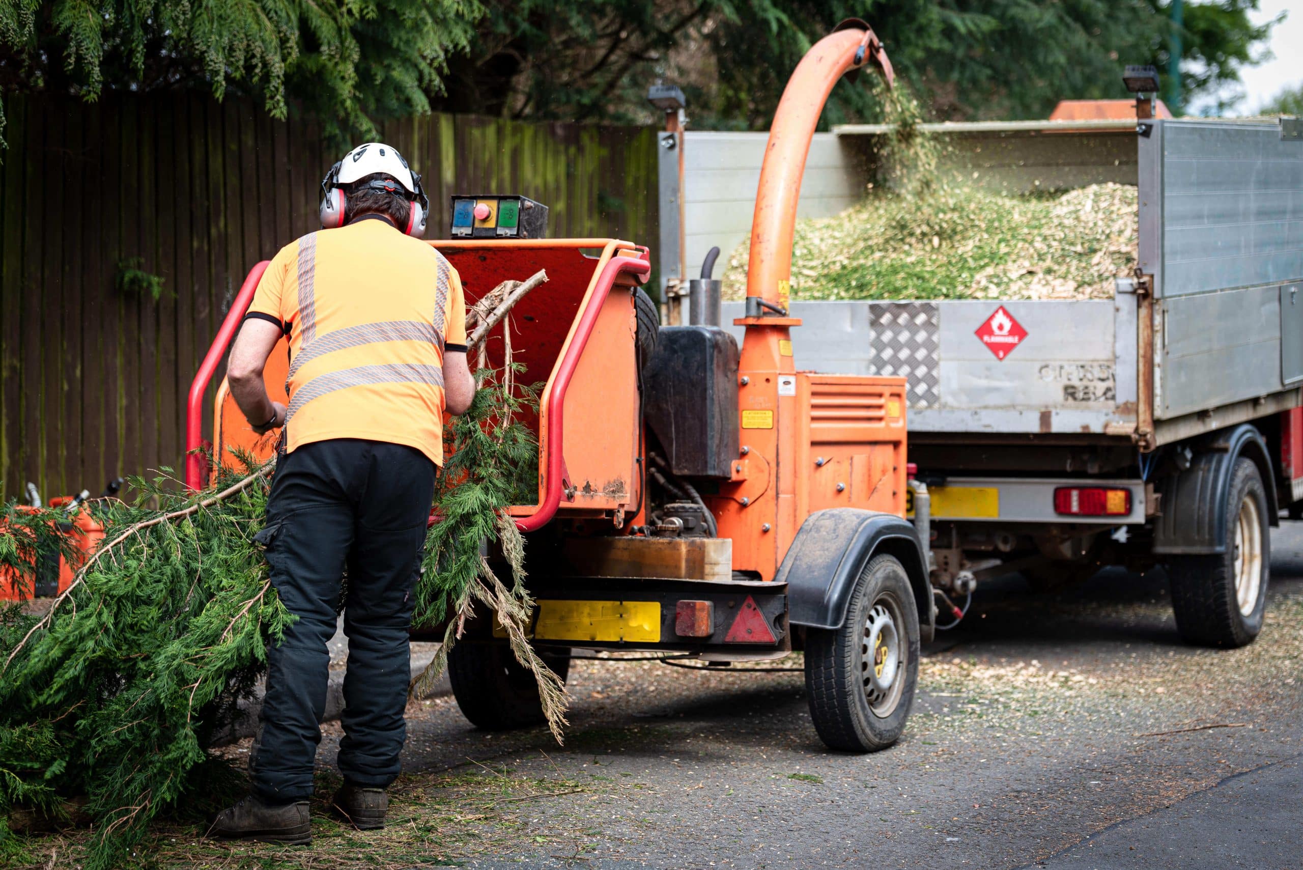 Tree Stump Grinding/Removal Chessington KT9